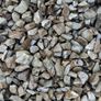 Garden Gravel Free Image 6