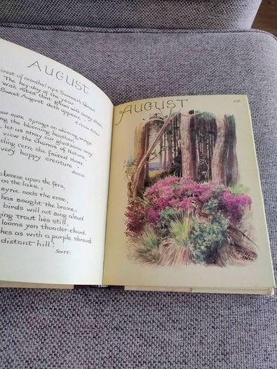 The Country Diary of an Edwardian Lady 1979 by Edith Holden in very good condition with some wear to the dustcover see photos FREE STANDARD POSTAGE INCLUDED