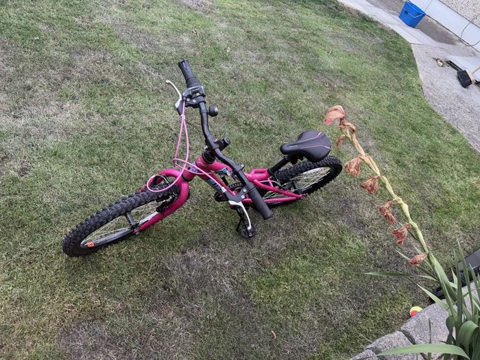 girls bike for sale