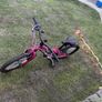 girls bike for sale Image 3