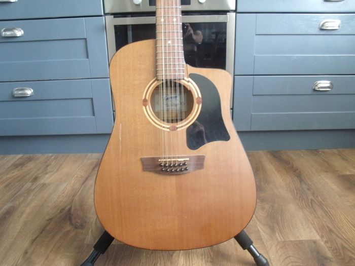 Garrison GD-20-12 CE 12 string Guitar - Spares or Repairs - 2007 Made in Canada
