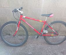 mongoose pro mountain bike