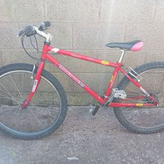 mongoose pro mountain bike