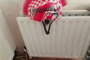 kids bike helmet