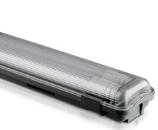 Twin Fluorescent Lights
