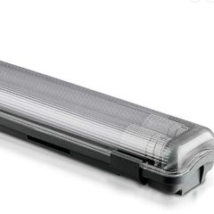 Twin Fluorescent Lights