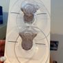 Elvie Breast Shields 24mm Image 3