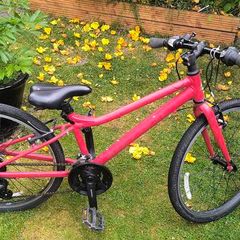 bike