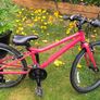 bike Image 7