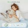 Small Double Mattress, 8 Inch Pocket Sprung Mattresses with Breathable CertiPUR-US Foam Image 6