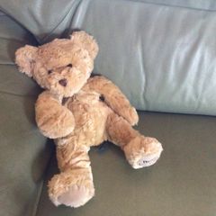 Vintage Bear Factory Traditional style bear with zip pouch in back can post