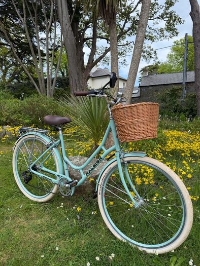 Raleigh Willow Ladies Bike Excellent Condition Size L