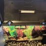 17l aquarium Image 2