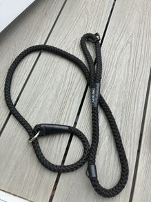 dog lead