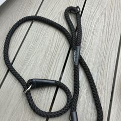 dog lead