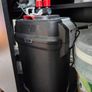 200L Fish Tank + cichlids + fish + stand Image 2