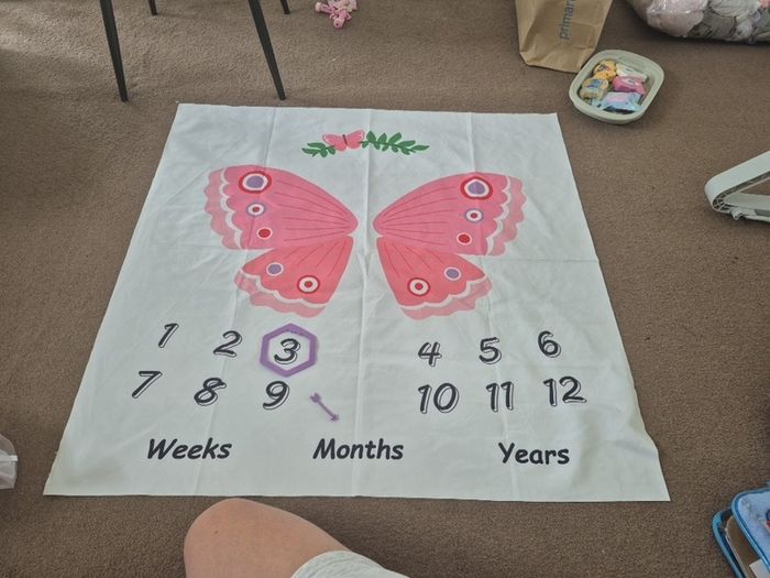 Baby Age Blocks and Blanket