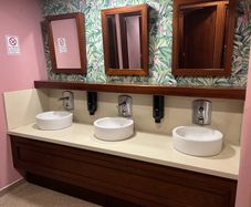 Bathroom sinks