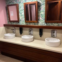 Bathroom sinks