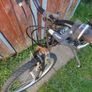 child bike 24 wheels,breaks,gears working,need chain )and small service so that's price! Image 2