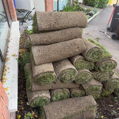 Grass - Instant Lawn Turf - Summerhill Lawns 35 rolls