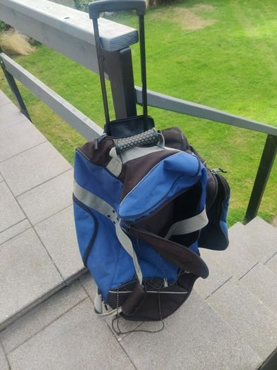 Samsonite Travel bag FREE