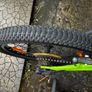 Scott Mountain Bike Image 2