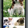 Personalised Sony Xperia Z4  cover Image 4