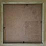 Fossilized prehistoric fish and ammonites. In display frame. Image 7