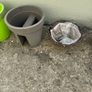 Garden Plant Pots Image 3