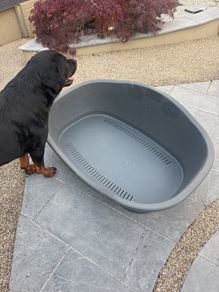 Plastic dog bed