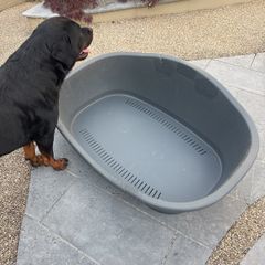 Plastic dog bed