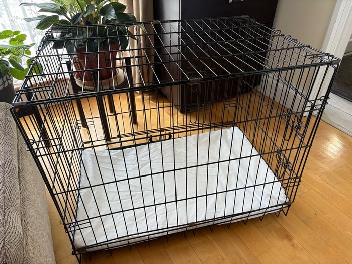 Dog crate with foam mattress