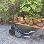 Pure advance electric scooter Image 6