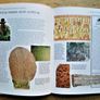 Indiana Jones - Vikings Book Image 7