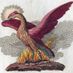 phoenix333