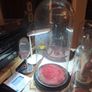 Vintage Glass Domes,Taxidermy or Interior Design. Image 4