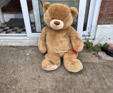 Teddy