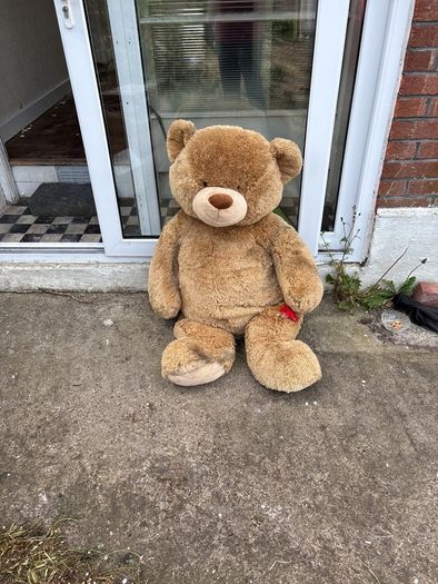 Teddy