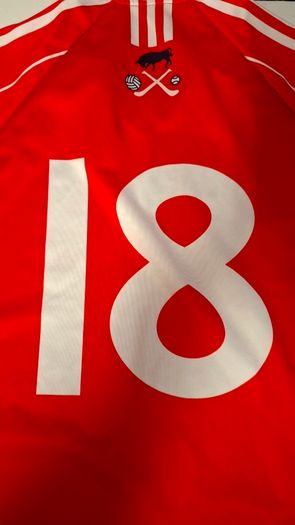 (Tight Fit) Clontarf GAA O'Neills Gaelic Football Jersey (Adult Large) FREE POST