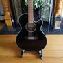 Takamine EG541 SSC Semi Acoustic and carry bag Image 2