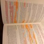 The Irish legal System Image 5