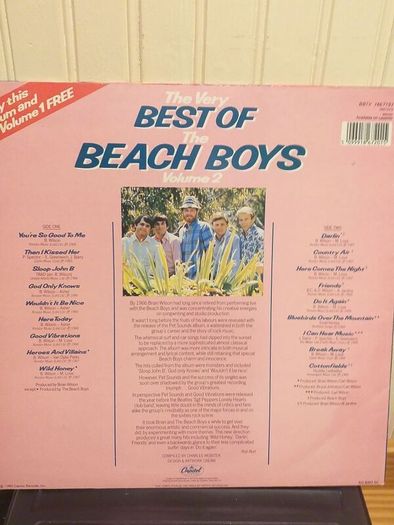 The Beach Boys.