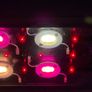 Hipargero HG-450 Full Spectrum LED Grow Light - Excellent for Planted Aquariums Image 4