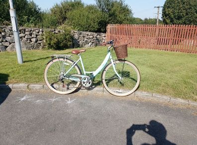 Ladies Bike