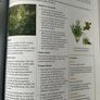 Herbal Remedies Image 6
