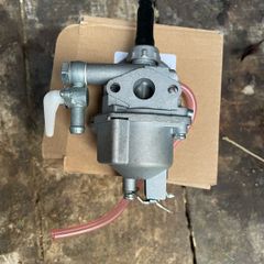 Strimmer carburator