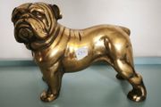 Large brass bulldog