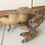 Jurassic World Dinosaurs Image 10