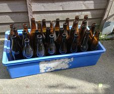 free beer bottles